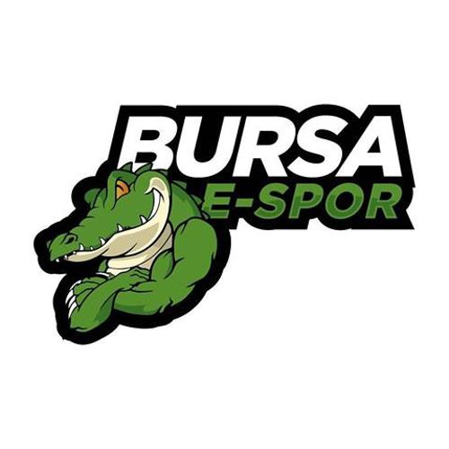 Bursa Espor Green