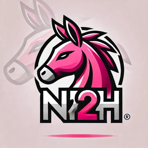 N2H Esports