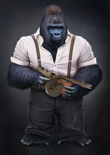 Gorilla5