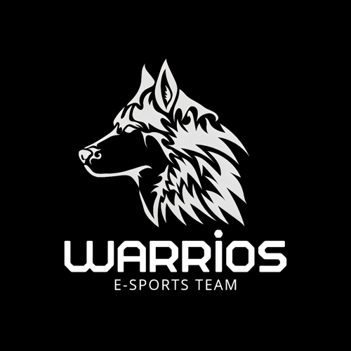 WARRİOS ESPORTS