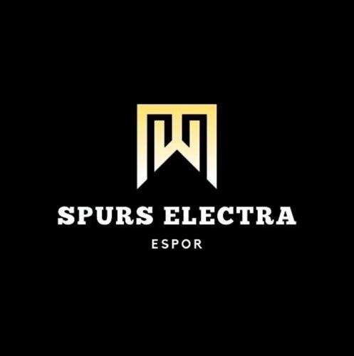 Spurs E-sports