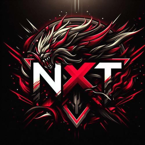 NXT ESPORTS