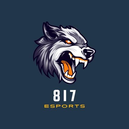 817 Esports