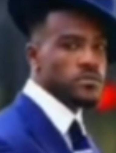 Vergi Toplayıcıları