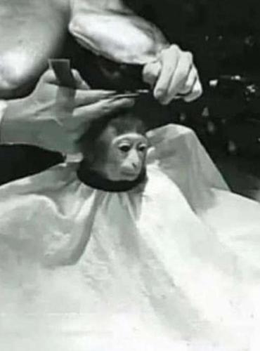 ÇÖP KUTUSU AŞIKLARI