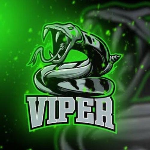 XVİPER ESPORTS