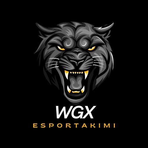 WGX E-SPOR