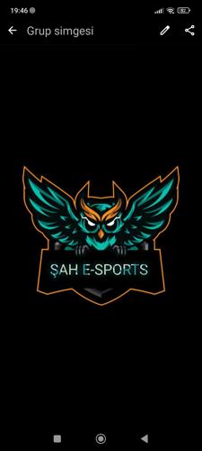 ŞAH E SPORTS