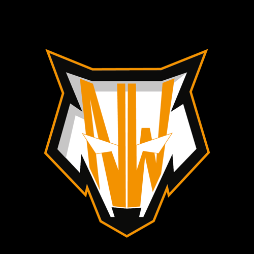 NW ESPORTS