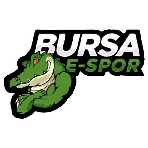 BursaESpor