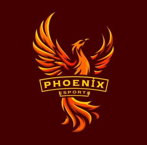 PHONİX Esports