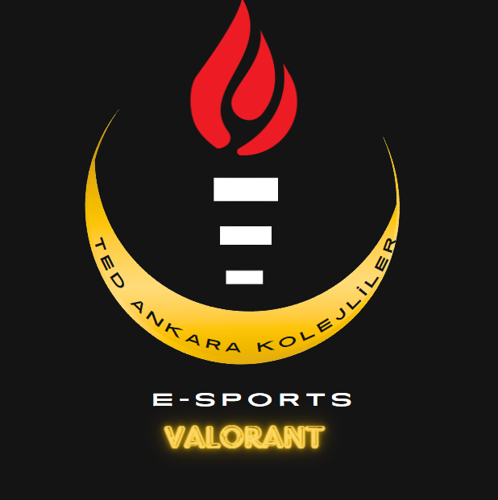TED Ankara Kolejliler E-sports