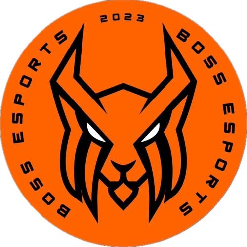Boss Esports
