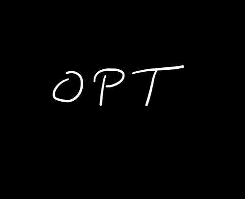 OPT