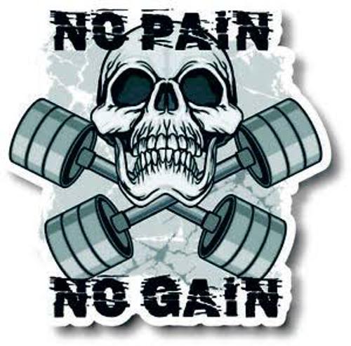 Nopainnogain