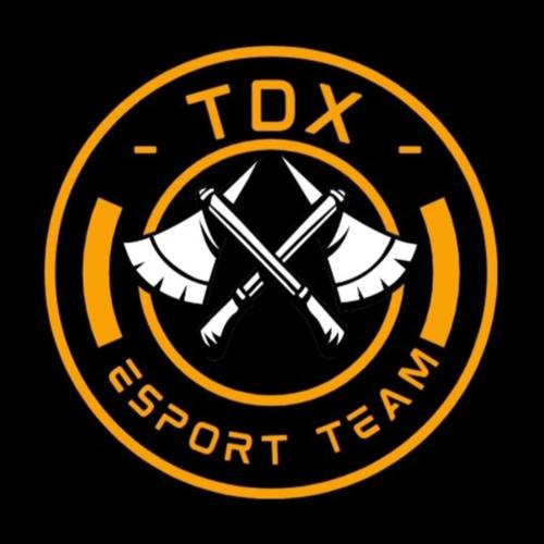 TDx ESPORTS