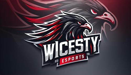 Wicesty E-sports