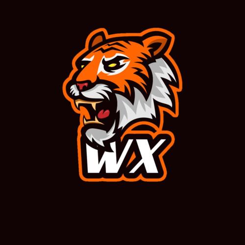 WX ESPORTS