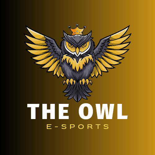 THE OWL E SPORTS
