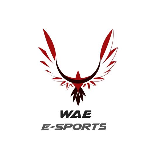 WAE ESPORTS