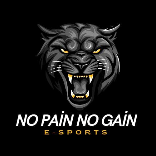 NO PAİN NO GAİN E SPORTS