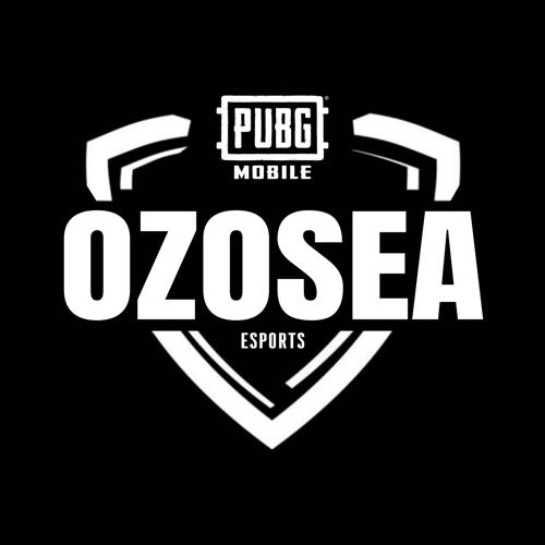 Ozosea Esports