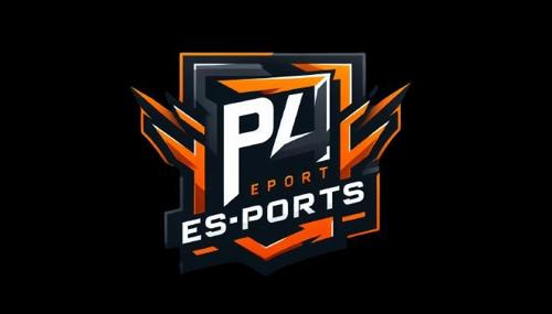 P4 ESPORTS