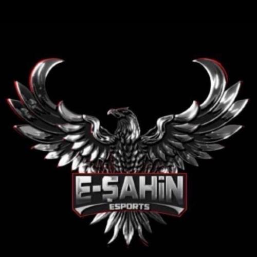 E-Şahin
