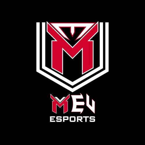 Mersin Üniversitesi E-Spor Takımı