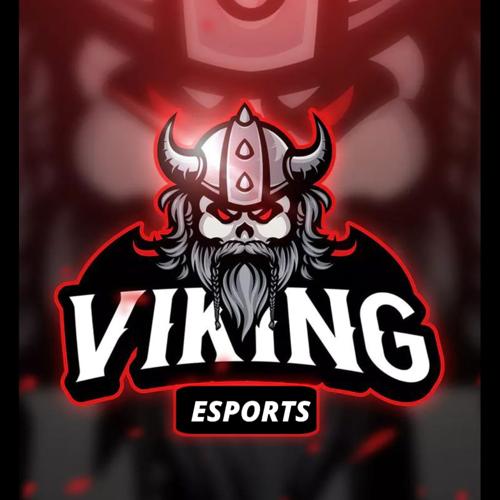 VİKİNG ESPORTS