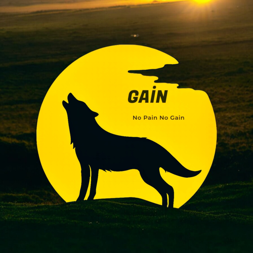 No Pain No Gain