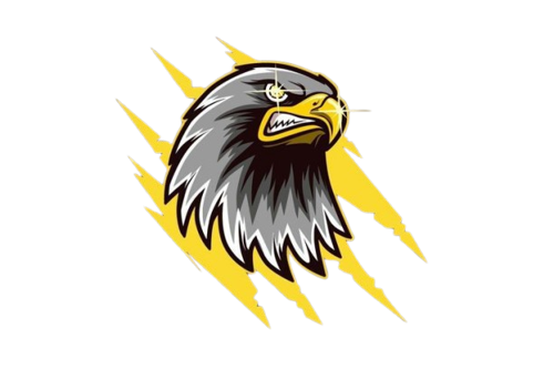 BULLET STORM E-SPORTS