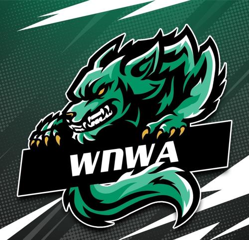 WE WILL NEVER WALK ALONE