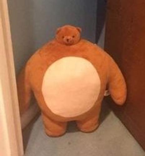 ANNE AYI'NIN İNTİKAMI