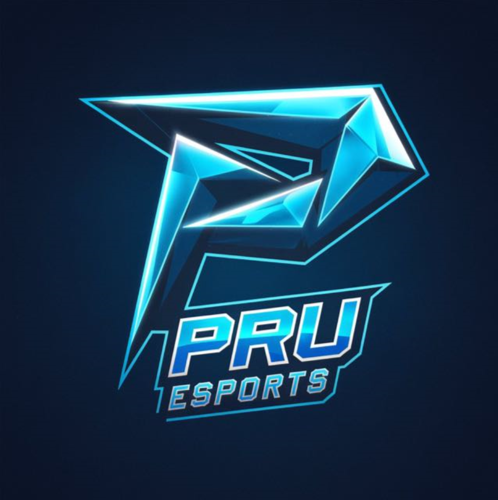 Piri Reis E-Sports
