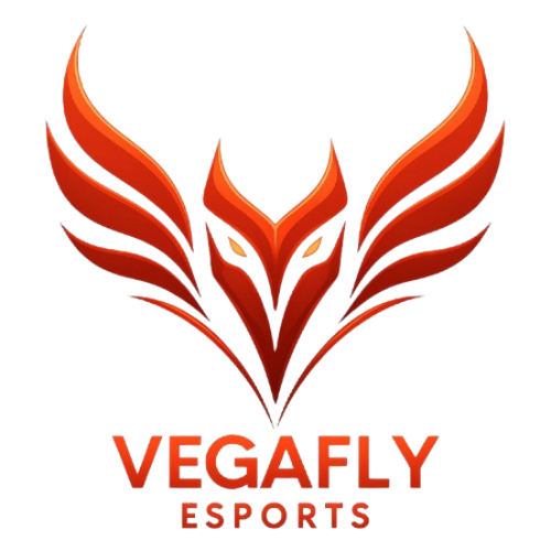 VEGAFLY  ESPORTS
