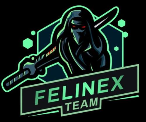 FelineX