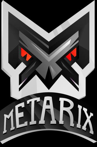 Metarix team