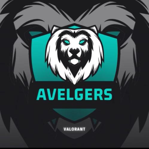 Team Avelgers