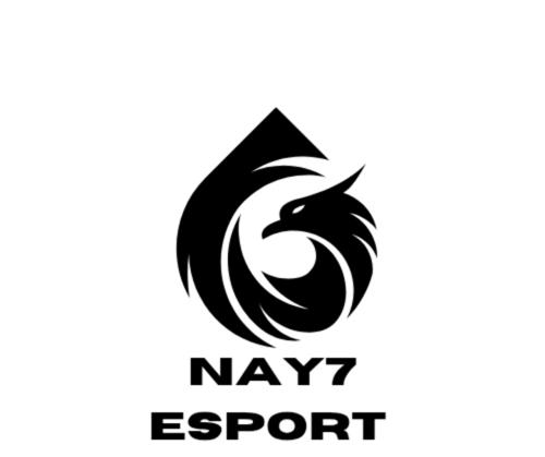 NAY7 Esport
