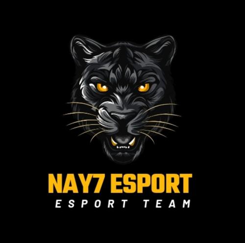NAY7 Esport
