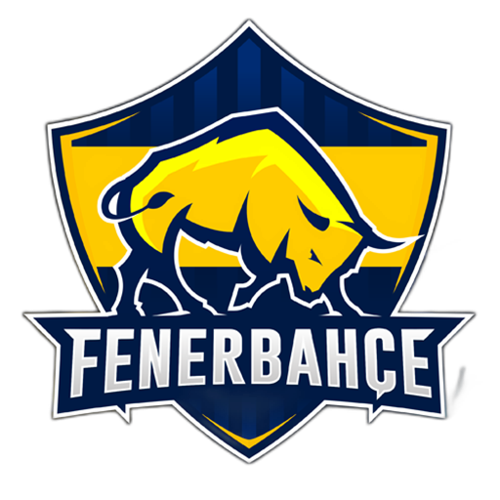 Fenerbahçe Espor