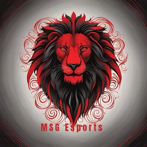 MSG ESPORTS