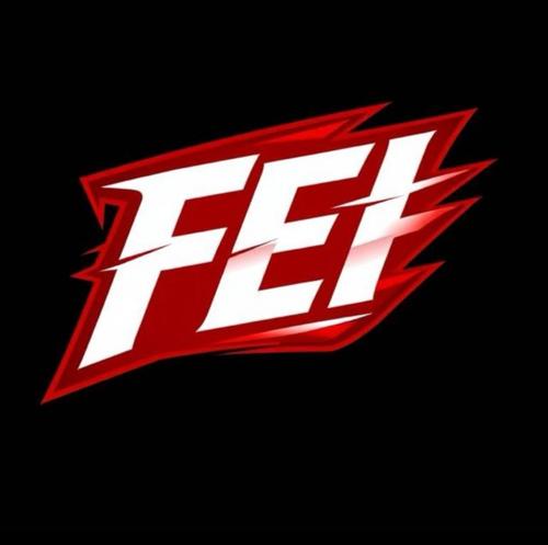 Fei Esportss