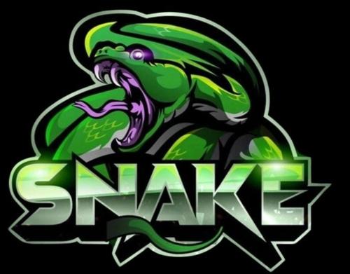 Snake Esports