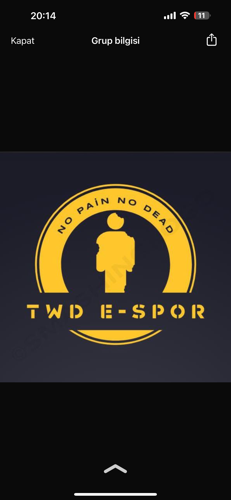 TWD ESPORTS