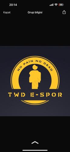 TWD ESPORTS