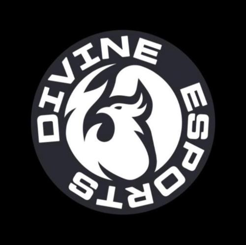 Divine Esportss