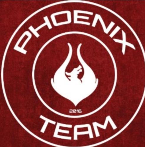 Team Phoenix