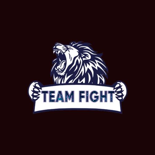 TEAM FİGHTT